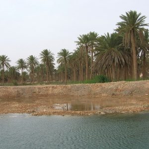Abraham’s Oasis near the Euphrates River and Al Asad Air Base. According to oral tradition, the location was a resting place for Abraham on his biblical journey from Ur to Canaan.